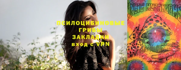 гашик Абдулино