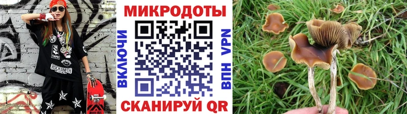 Псилоцибиновые грибы GOLDEN TEACHER  blacksprut зеркало  Дубна 